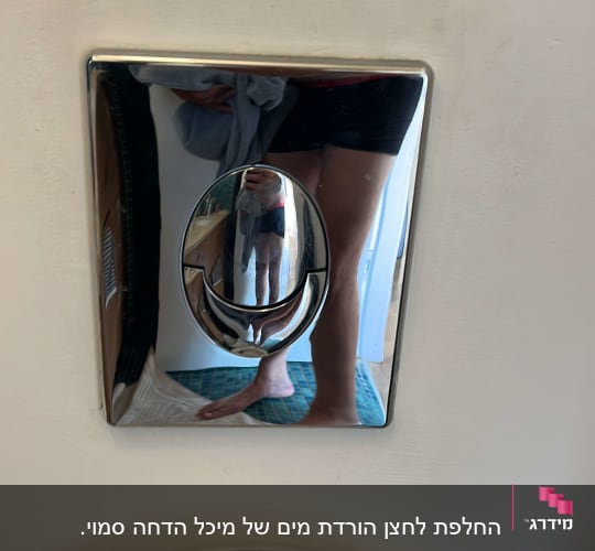 לחצן ניאגרה כסוף עם השתקפות אדם